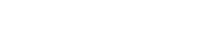FOCUS FABRIC